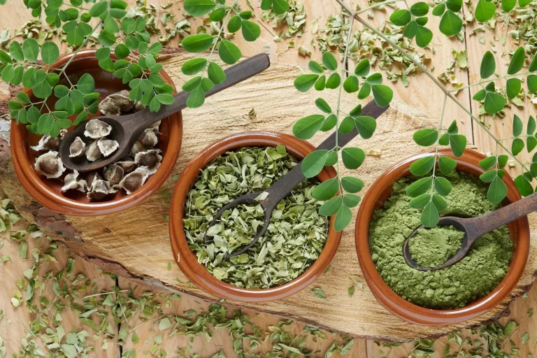 Moringa 5