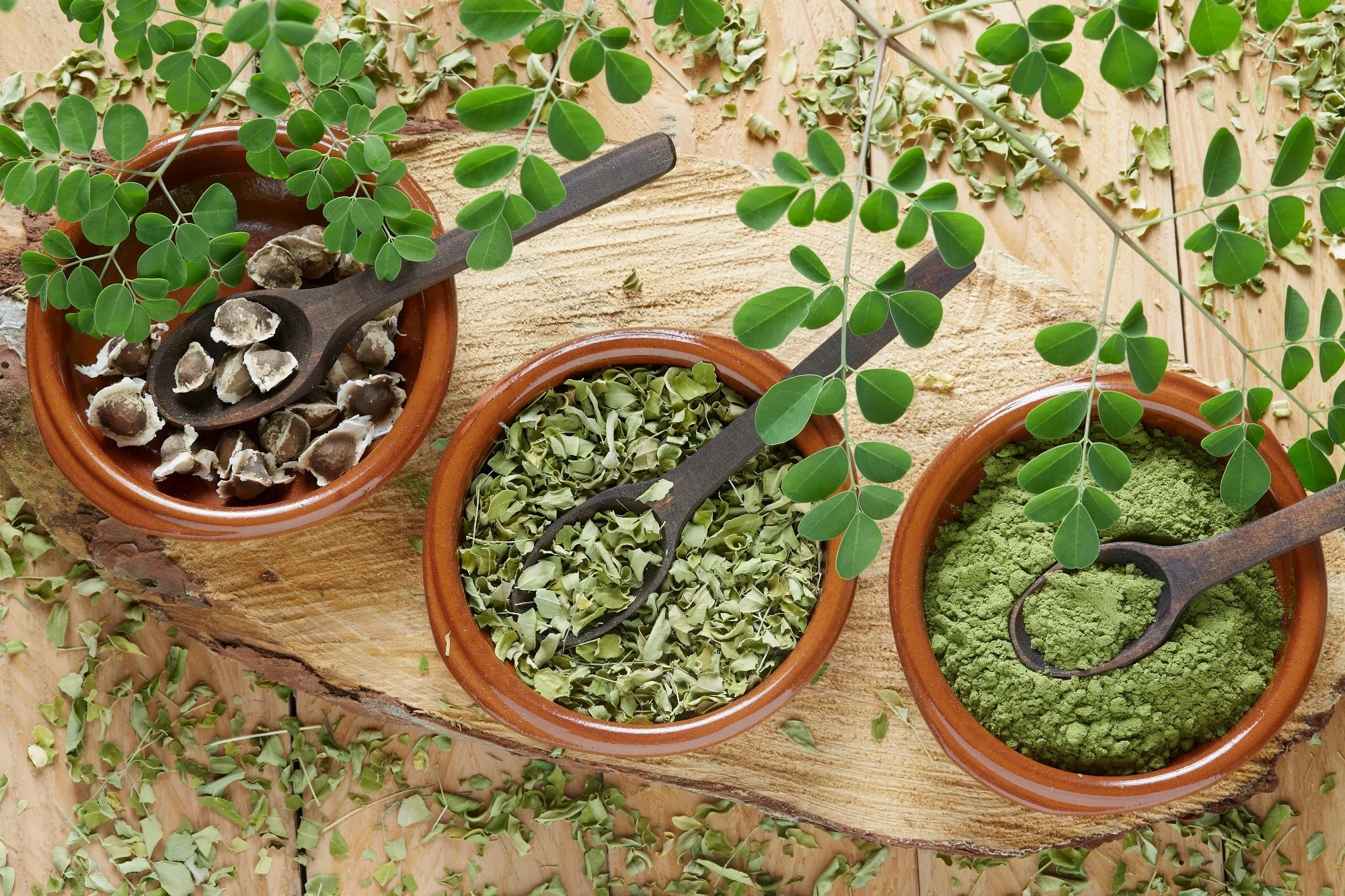 Moringa 5