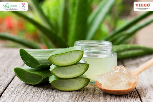 Aloe Vera 5
